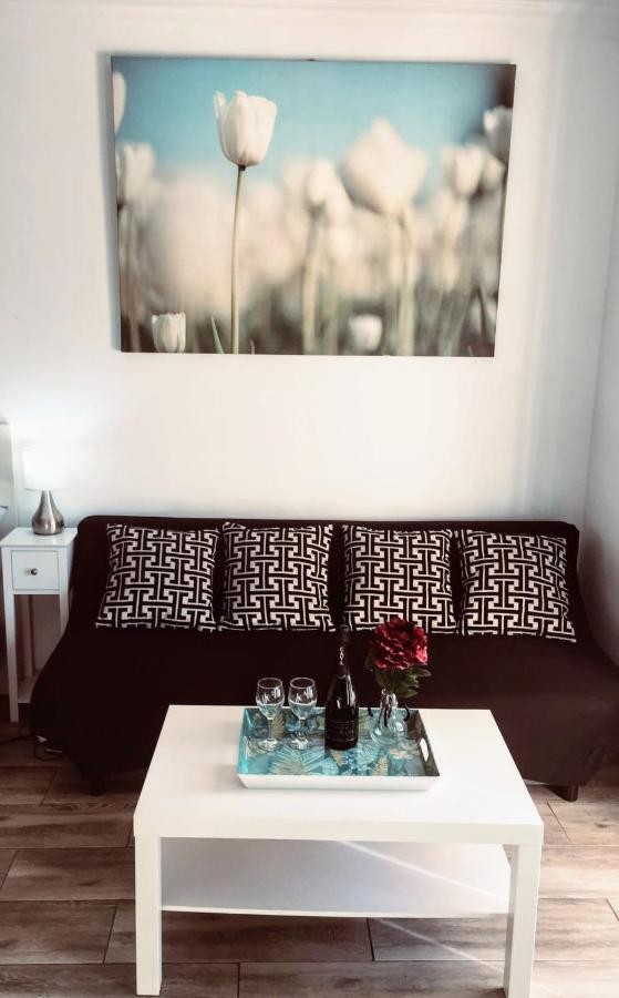 Puerto Banus Apartment Near Beachfront, Sunny Terrace, Pool, Tennis Court, Parking And Movies Projector 马尔韦利亚 外观 照片