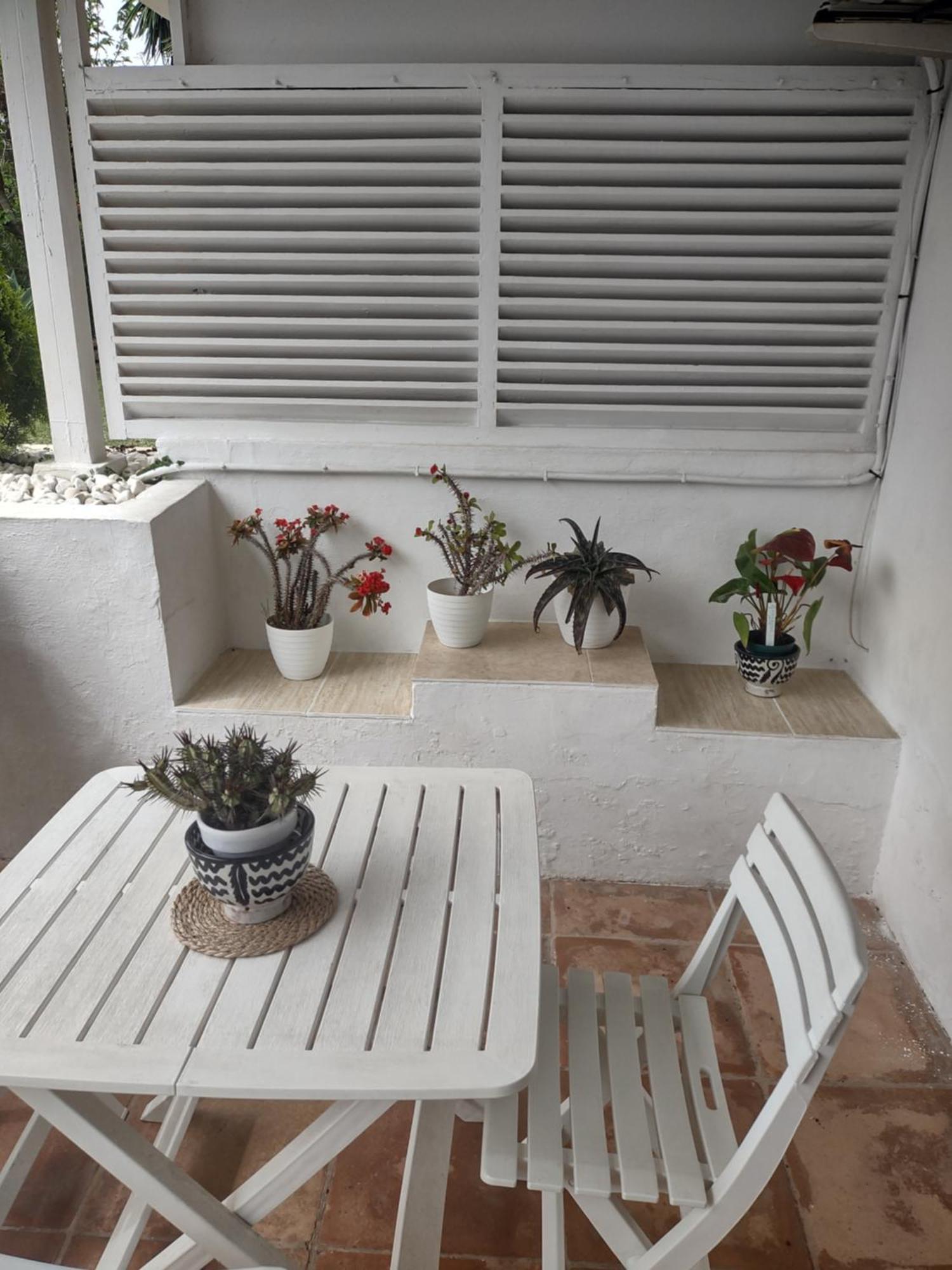 Puerto Banus Apartment Near Beachfront, Sunny Terrace, Pool, Tennis Court, Parking And Movies Projector 马尔韦利亚 外观 照片