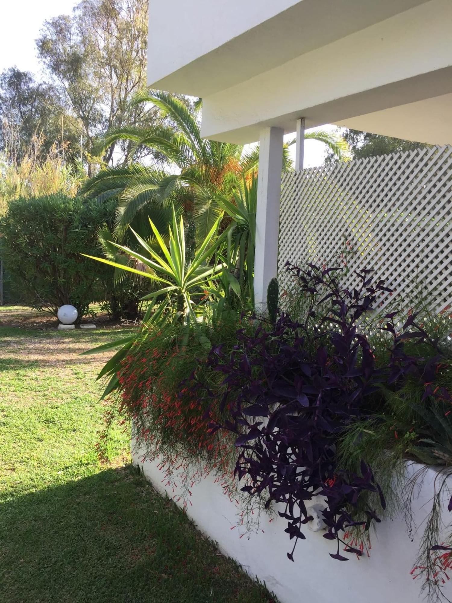 Puerto Banus Apartment Near Beachfront, Sunny Terrace, Pool, Tennis Court, Parking And Movies Projector 马尔韦利亚 外观 照片